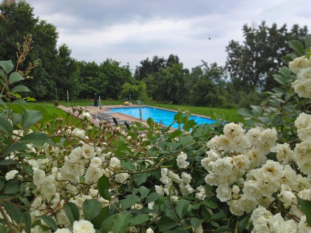 Agriturismo Famiglia Al Castello Di Bagnolo Bagnolo Piemonte Rom bilde